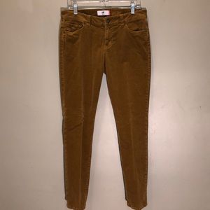 CAbi Skinny Cords in Gold Style #3197 Size 10